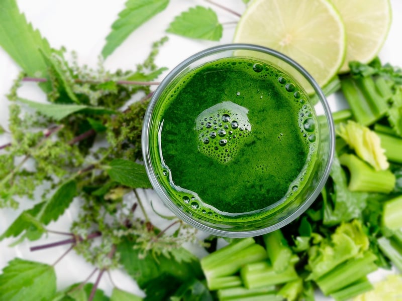 Edible Plants